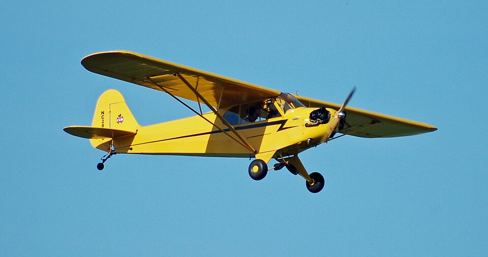 Piper / CubCrafters / American Legend / Aviat Cub family (J-3 / Super Cub / Carbon Cub / Husky)